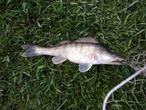 IMG_20210503_191326.jpg