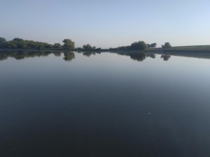 IMG_20210828_065938.jpg