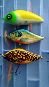 IMG_20210916_185355.jpg