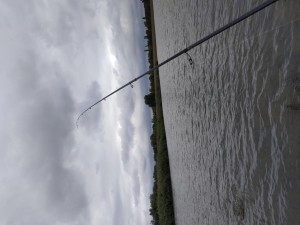 IMG_20210921_155213.jpg