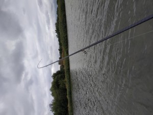 IMG_20210921_155220.jpg