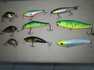 IMG_20210927_161719.jpg