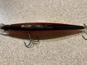 Duo Realis Jerkbait 120 SP.jpeg