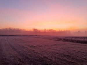 23C1D3BD-E498-4426-B834-79FEB2B92C30.jpeg