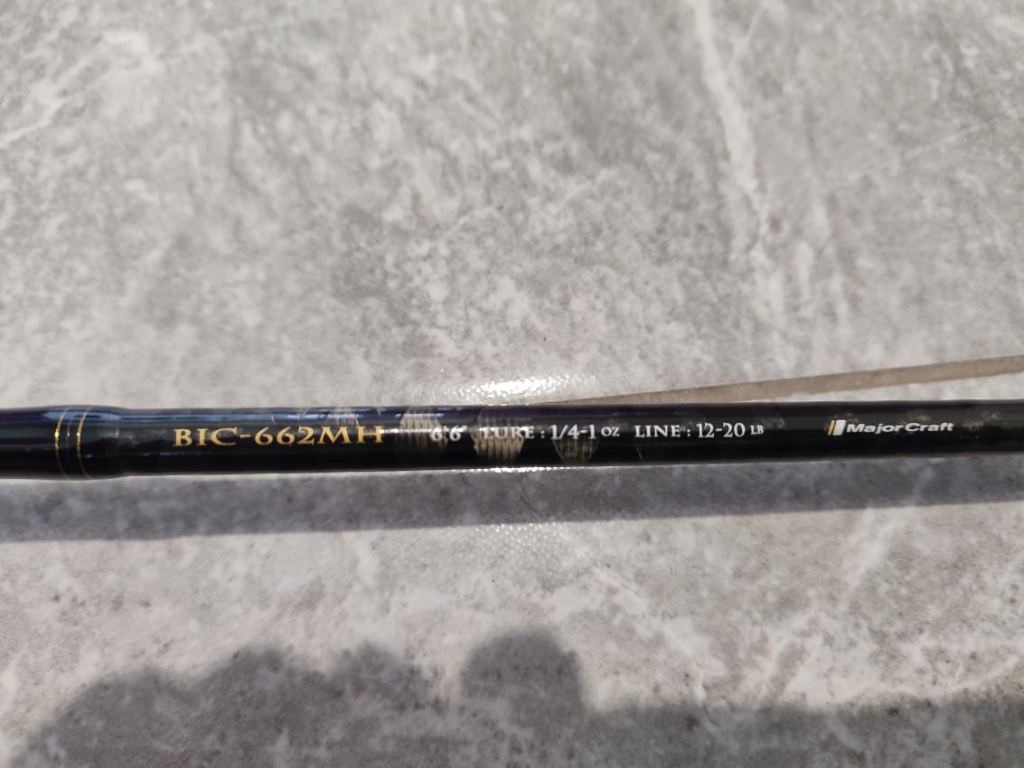 BIC-2.jpg