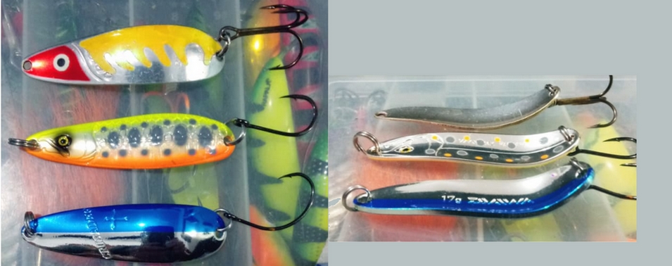 Daiwa Wise Masau and Daiwa Crusader .jpg