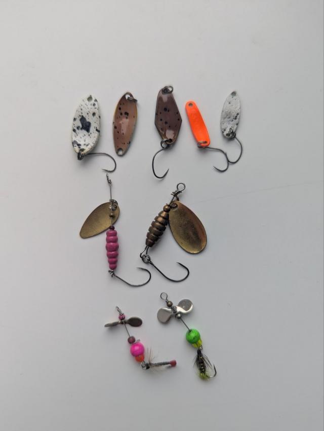 photo_2026-02-06_14-15-37 (2).jpg