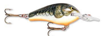   .  Rapala Mini Fat Rap.  