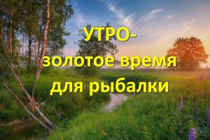 Утро - золотое время для рыбалки