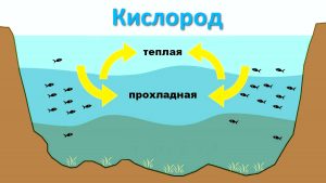 насыщение воды кислородом