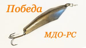 Победа СССР