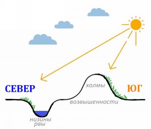 Растительность на склонах