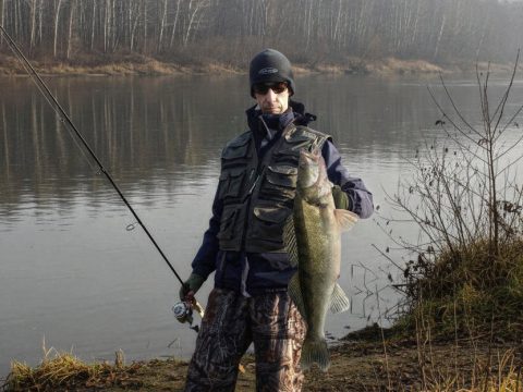 Рекордный судак