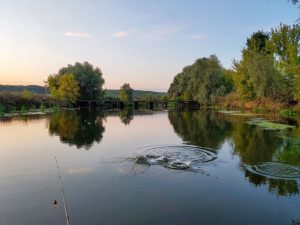бой жереха на реке