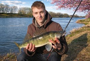 Рыболов ловит судака весной на джиг с берега реки