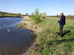 поиск окуня на мелководье весной в заливе