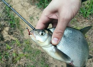 спиннинг под мормышку