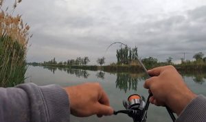 мормышинг на карася