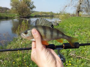 приманки для окуня Bait Breath и Keitech на спиннинг