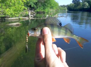 вертушки на окуня размер 0 и 1 весной