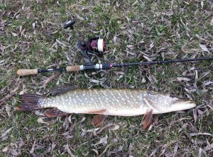 снасти для ловли щуки весной спиннинг катушка плетенка поводок