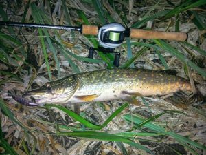 воблер суспендер на щуку весной для медленной проводки