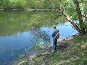 щука весной в камыше ловля на границе травы и чистой воды
