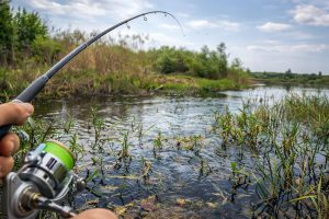 ловля щуки весной на спиннинг на мелководье в солнечный день