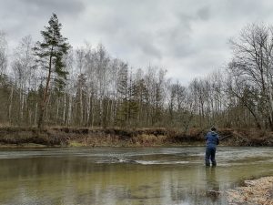 перспективные места для щуки весной выход из зимовальной ямы