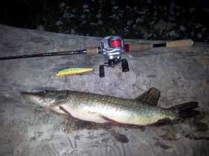 суспендер на щуку