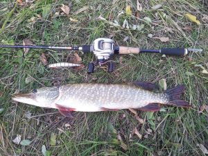 твичинг лучшая проводка для щуки