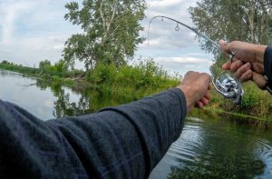 Спиннинг для ловли язя на вываживании