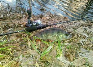 Как выбрать спиннинг для ультралайта