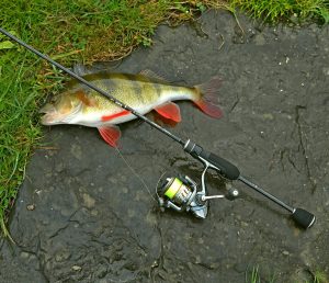 Лучшие спиннинги для микроджига