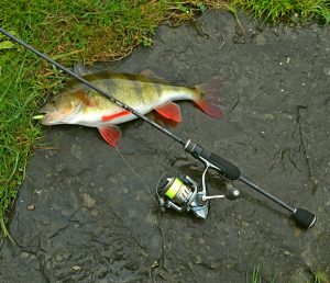 Рейтинг спиннингов для ультралайта