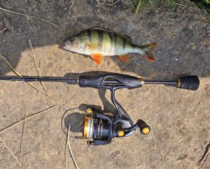 ТОП шнуров для ультралайта