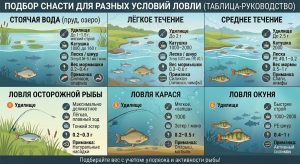 что купить для мормышинга