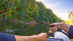 Поклёвка язя