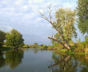 где стоит язь