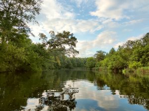 как нацти язя