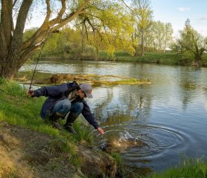 какие приманки на язя