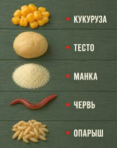 карась на что ловить